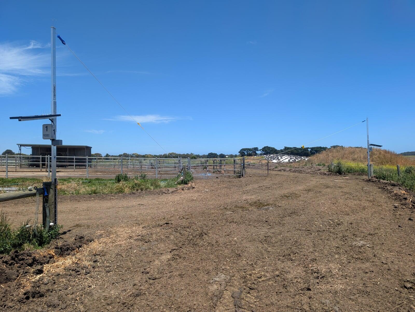 UpGate gateway on a cattle farm laneway